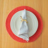 Reindeer Napkin Holder 